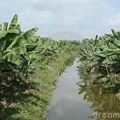 5º Congresso Brasileiro de Fertilizantes