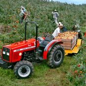 Produtores já priorizam conforto nas máquinas agrícolas