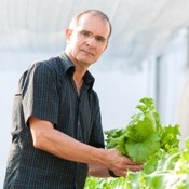 Laboratório de Hidroponia da UFSC bate recorde de produção