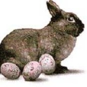 A verdadeira História da Páscoa