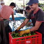 Seminários sobre Agroecologia têm programação definida