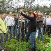 Agricultores de Alpestre recebem capacitação em diferentes áreas produtivas