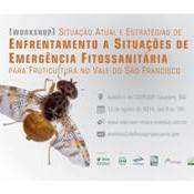 Fruticultura do Vale do São Francisco é tema de workshop em Juazeiro/BA