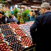 IBRAF e Apex Brasil trazem compradores do exterior para negócios em SP