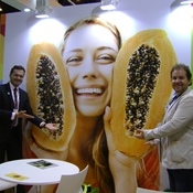 Mamão do Brasil é destaque na Fruit Attraction em Madrid