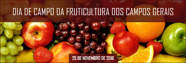 frutas6