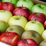 Blairo negocia exportação de maçã para a Índia