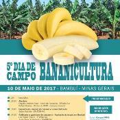 Dia de campo: Tecnologias para produção de banana