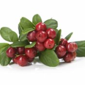Cranberry: benefícios e como consumir