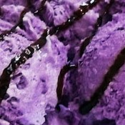 Sorvete de jabuticaba