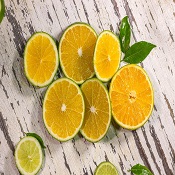 Sabe aquele amargor das frutas cítricas? São os Limonoides!