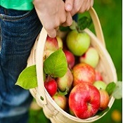 Frutas da estação no mês de março