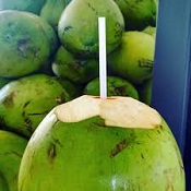 Qual a diferença entre coco verde e coco seco?