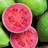 As frutas mais saudáveis que você deveria comer