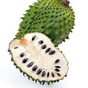 Graviola: a dica é comer uma fruta dessas por dia.